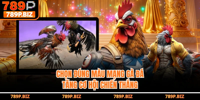 Chọn đúng màu mạng gà đá tăng cơ hội chiến thắng