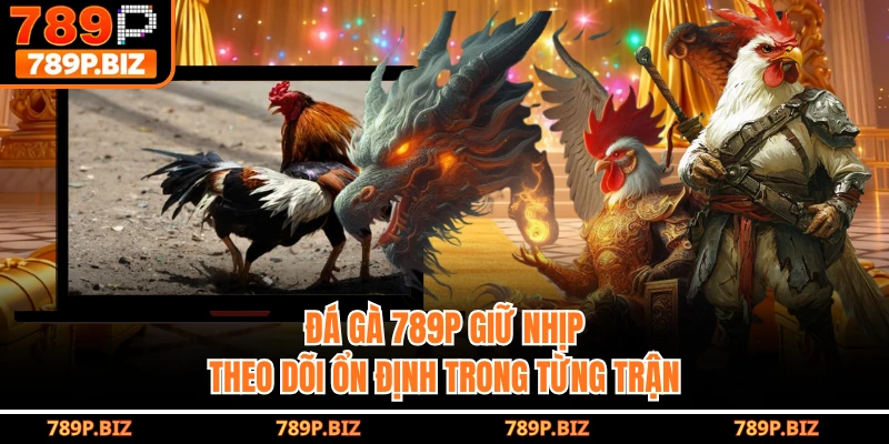 Đá gà 789P giữ nhịp theo dõi ổn định trong từng trận