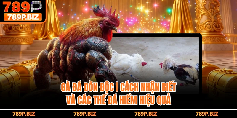 Gà Đá Đòn Độc | Cách Nhận Biết Và Các Thế Đá Hiểm Hiệu Quả Tại 789P