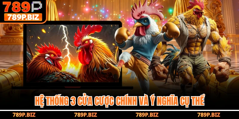 Hệ thống 3 cửa cược chính và ý nghĩa cụ thể
