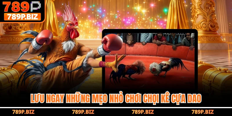 Lưu ngay những mẹo nhỏ chơi chọi kê cựa dao 